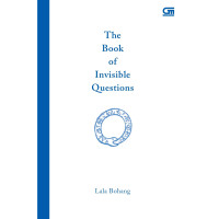 Image of The Book Of Invisible Questions