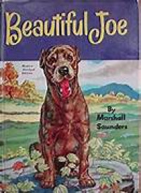 Image of Beautiful Joe